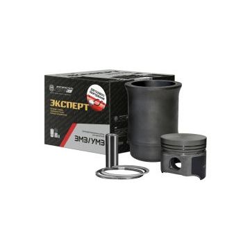 Гильза-поршень 24.1000105-20 п/к (г+п+пп) Кострома