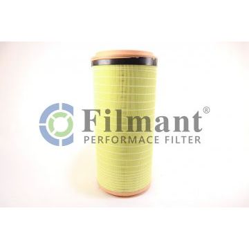 Фильтр воздуха( комплект) C301730/1 СH наружний CF1840 СH(AF26438) внутренний ,Торум Фильтр воздуха( комплект) C301730/1 СH наружний CF1840 СH(AF26438) внутренний ,Торум