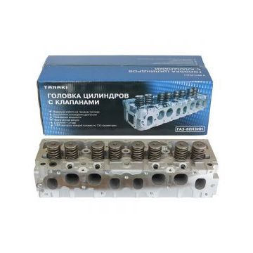 Головка 840.1003010-20/23 блока цил. с клап. в сборе (ТМЗ) ДУБЛЬ Головка 840.1003010-20/23 блока цил. с клап. в сборе (ТМЗ) ДУБЛЬ